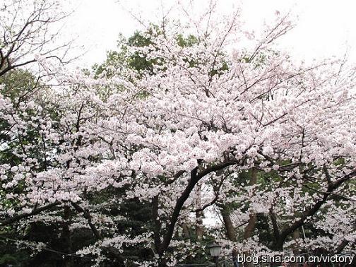 今日感慨：管理社交中的意外