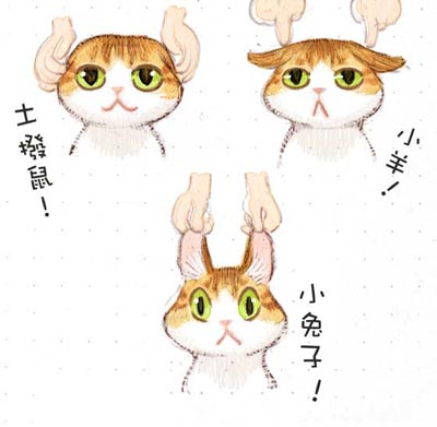 今日感慨：幸福的两个关键机制