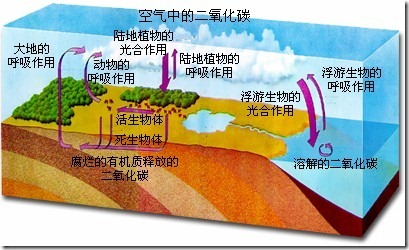 我和度卓普