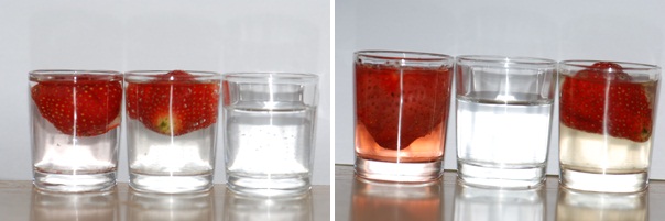 http://www.guokr.com/gkimage/tn/tb/l2/tntbl2.png