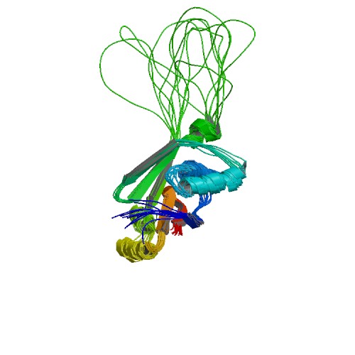 PBB_Protein_ATP7B_image.jpg