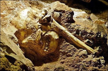 4213hominidfossil.jpg