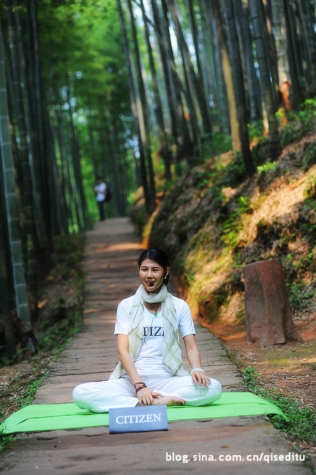 蜀南竹海，那一片荫凉