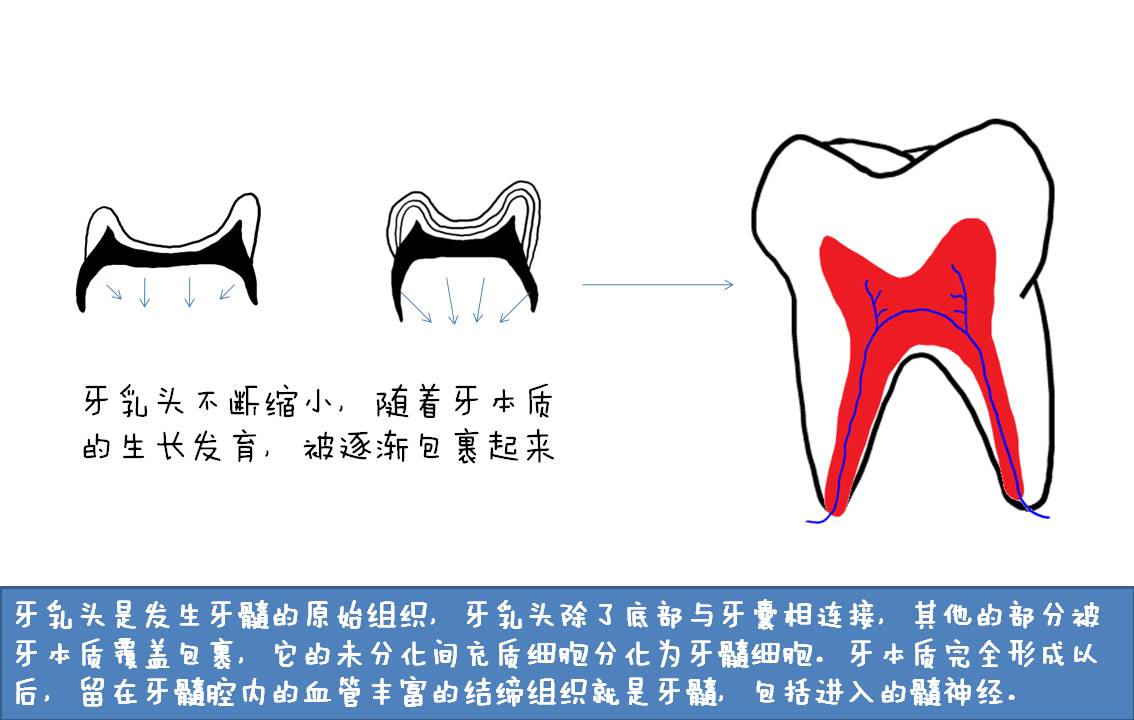 幻灯片8.JPG