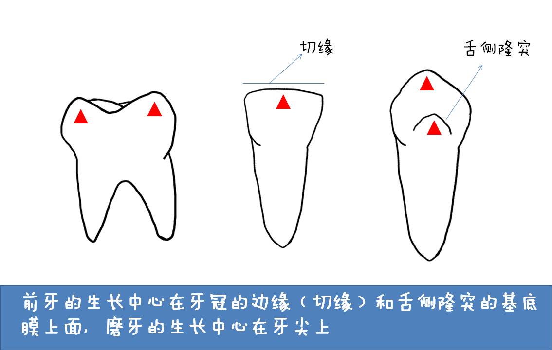 幻灯片4.JPG