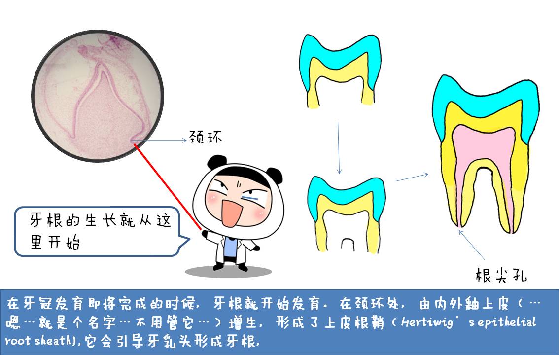 幻灯片9.JPG