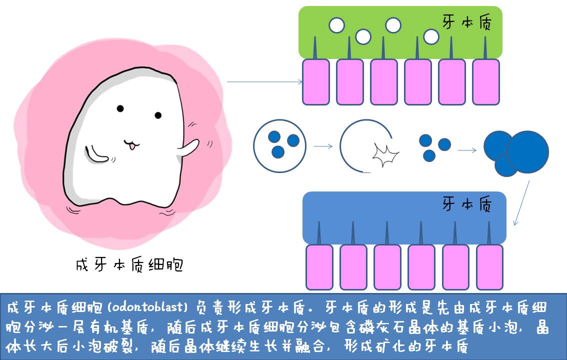 幻灯片5.JPG