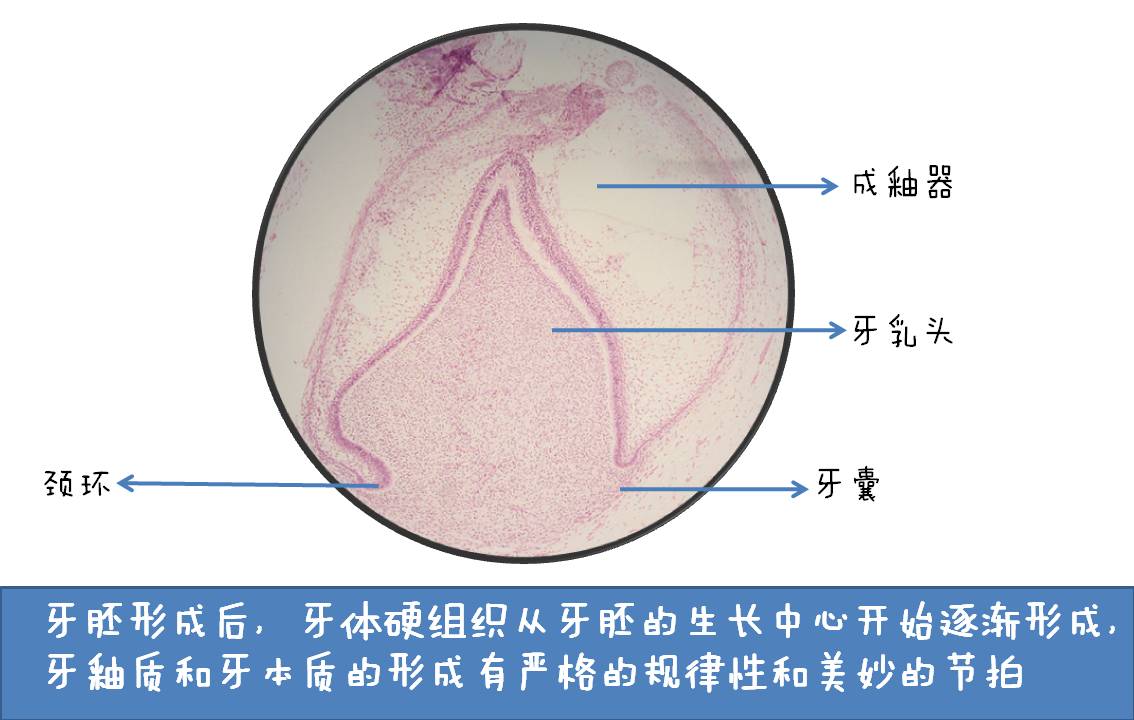 幻灯片3.JPG