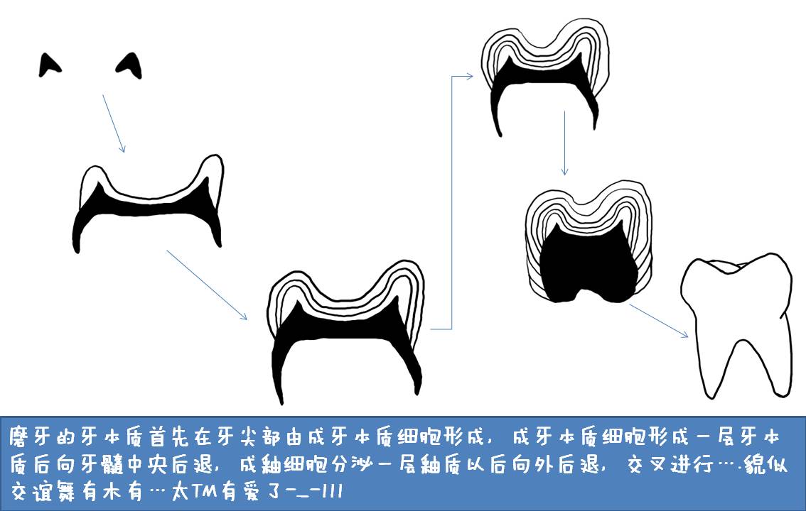 幻灯片7.JPG