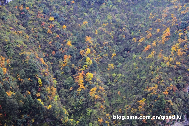峨眉之秋，层林尽染的美丽