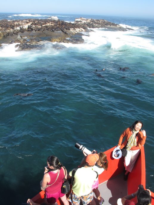 南非旅行记之十一：海豹宝宝、企鹅妈妈和上帝