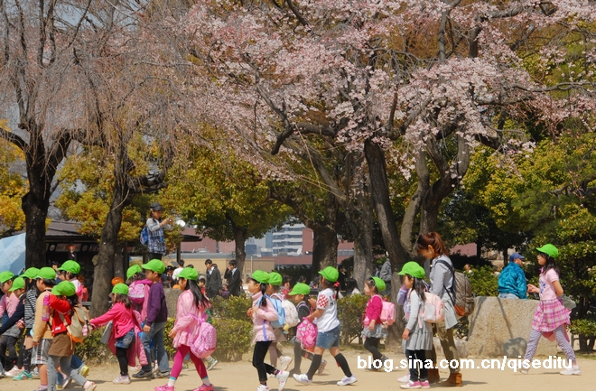 【日本】品行之旅，春天到日本来看樱