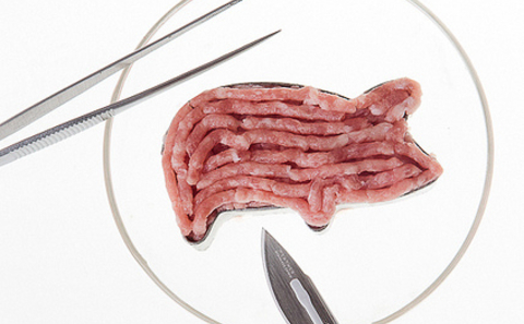 实验室培养的肉：虽然环保，但有人敢吃吗？