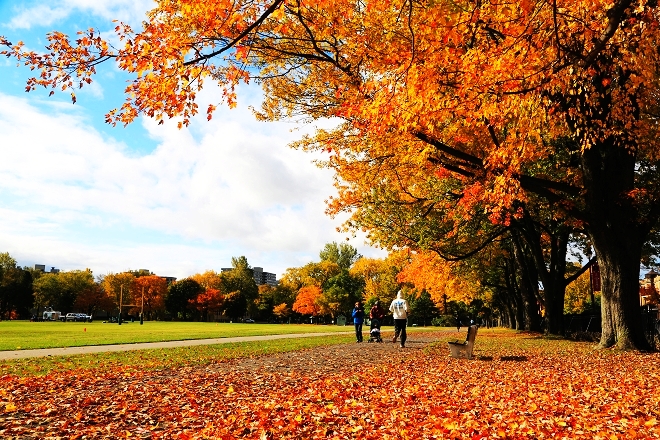 【加拿大】魁北克城，绚烂秋日四十幅