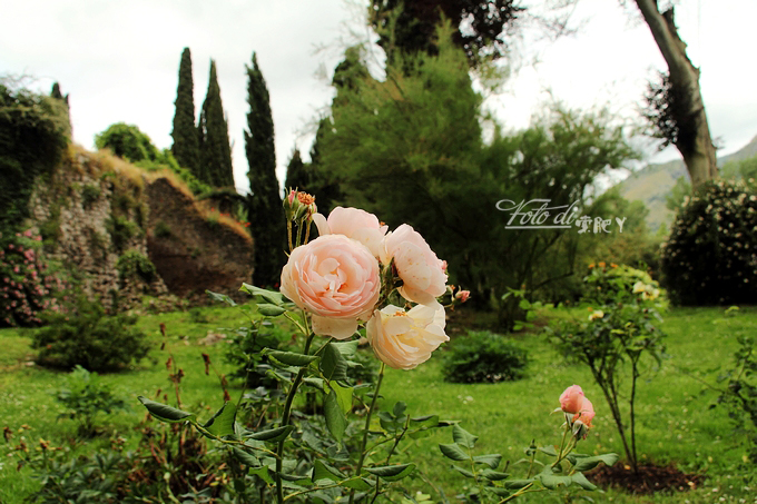[转载]【意大利】到全世界最浪漫的花园去踏青