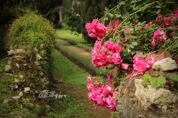 [转载]【意大利】到全世界最浪漫的花园去踏青