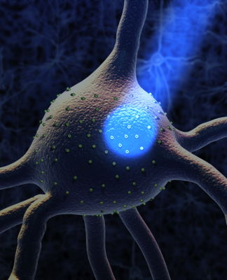 光遗传学，操控神经细胞的新工具  