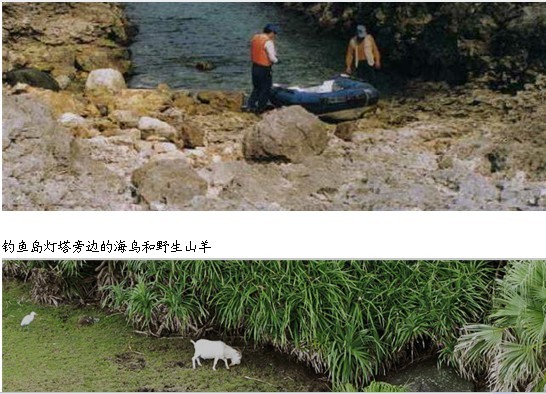 中国人登上钓鱼岛后的调查报告