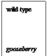 文本框:wild typegooseberry