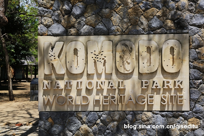 【印度尼西亚】科莫多国家公园，狂野之美