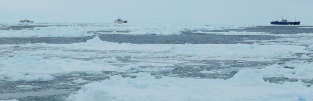 译文：事故预报：更多船只将陷于南极海冰