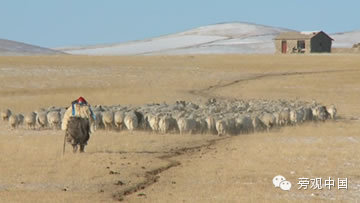 【旁观日记】内蒙古游牧传统的两难