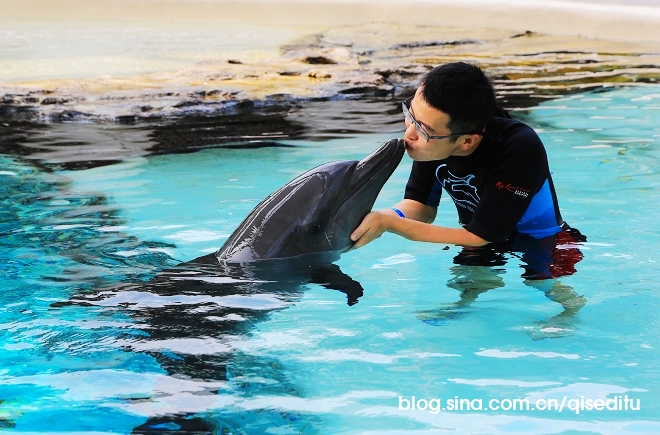 【新加坡】圣淘沙名胜世界，亲亲海豚