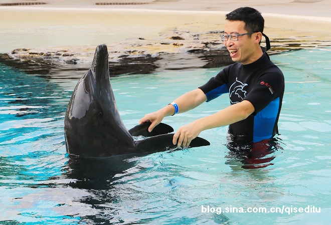 【新加坡】圣淘沙名胜世界，亲亲海豚