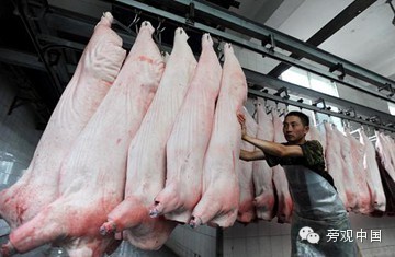 【旁观日记】中国的“猪周期”又来了