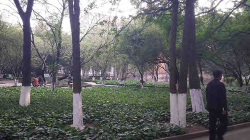 Yunnan-university1