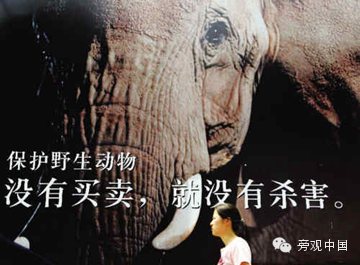 【旁观日记】中国禁吃濒危动物 违者最多可判十年