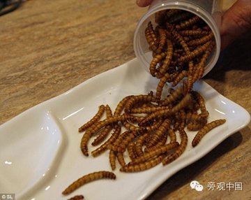 【旁观日记】中国的新一代太空食品——虫子