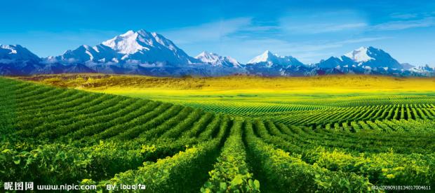 《中国科学报》:干红酿本草，养生葡萄酒好创意
