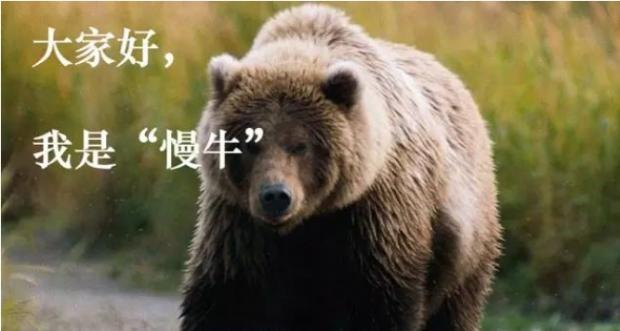 暴涨暴跌行情的首恶 暴涨暴跌行情的首恶