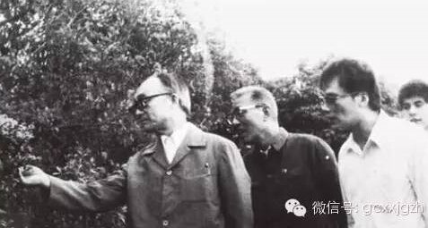 王岐山(右二)陪同杜润生到农村调查。