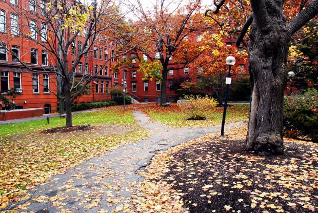 波士顿的回忆（3）·爱在深秋
