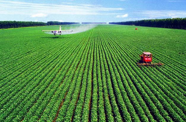 ​进口大米征税45% 中国农业就安全了？