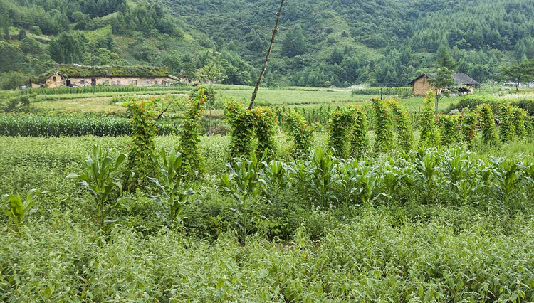 巫山.奉节有条相通的自驾游大环线,很棒! - 何志宏 - 何志宏摄影 巫山.奉节有条相通的自驾游大环线,很棒! - 何志宏 - 何志宏摄影
