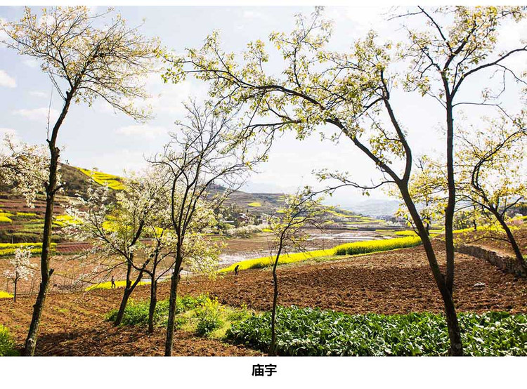 巫山.奉节有条相通的自驾游大环线,很棒! - 何志宏 - 何志宏摄影 巫山.奉节有条相通的自驾游大环线,很棒! - 何志宏 - 何志宏摄影