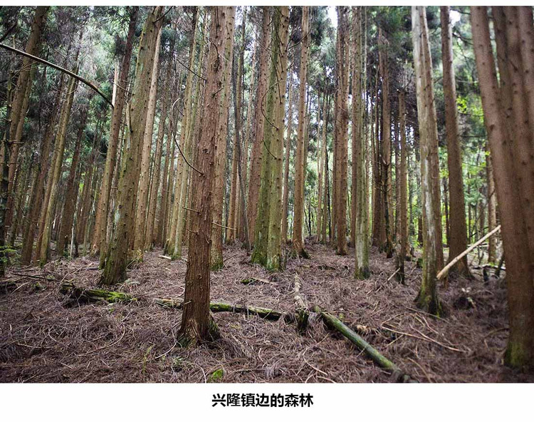 巫山.奉节有条相通的自驾游大环线,很棒! - 何志宏 - 何志宏摄影 巫山.奉节有条相通的自驾游大环线,很棒! - 何志宏 - 何志宏摄影