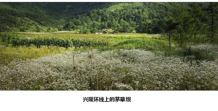 巫山.奉节有条相通的自驾游大环线,很棒! - 何志宏 - 何志宏摄影 巫山.奉节有条相通的自驾游大环线,很棒! - 何志宏 - 何志宏摄影