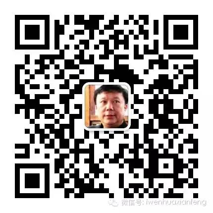 朱大可:“杨丽萍悖论”的文化困局 朱大可:“杨丽萍悖论”的文化困局