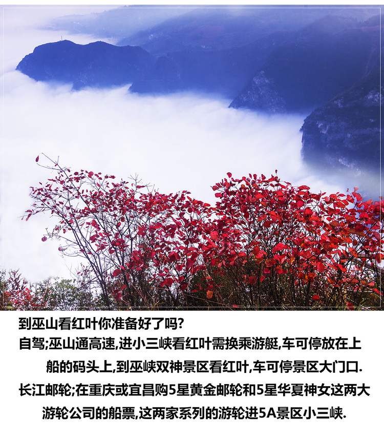 欣赏《语文读本》七年级下册周勇的散文《三峡红叶》 - 何志宏 - 何志宏摄影
