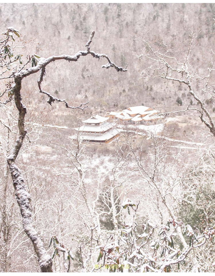 大美川西 (曹仁森摄影作品) - 何志宏 - 何志宏摄影 大美川西 (曹仁森摄影作品) - 何志宏 - 何志宏摄影