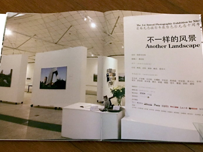 《看得见风景的画廊》中的“俯卧撑” 《看得见风景的画廊》中的“俯卧撑”