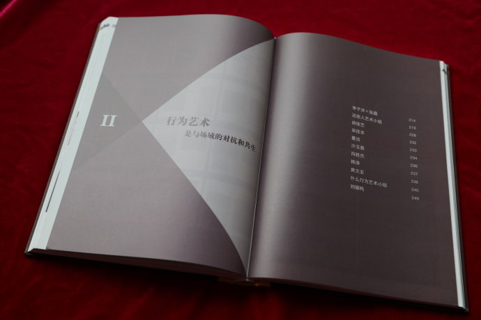 中国行为艺术年鉴与“俯卧撑” 中国行为艺术年鉴与“俯卧撑”