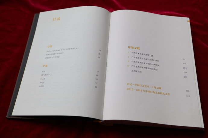 中国行为艺术年鉴与“俯卧撑” 中国行为艺术年鉴与“俯卧撑”