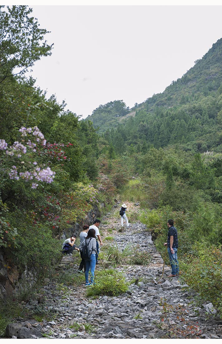 在红叶季里去走走巫山仁威观步道 - 何志宏 - 何志宏摄影