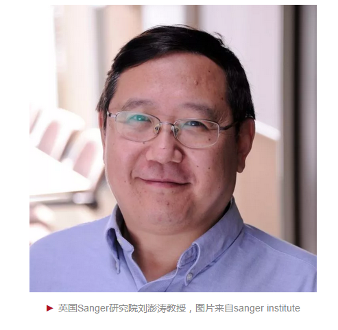 华人学者刘澎涛在《自然》发表干细胞重要成果