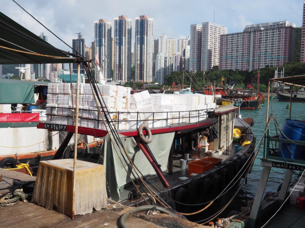 聚苯乙烯危害多，香港积极寻找鱼箱替代材料